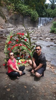 green forest tangkahan