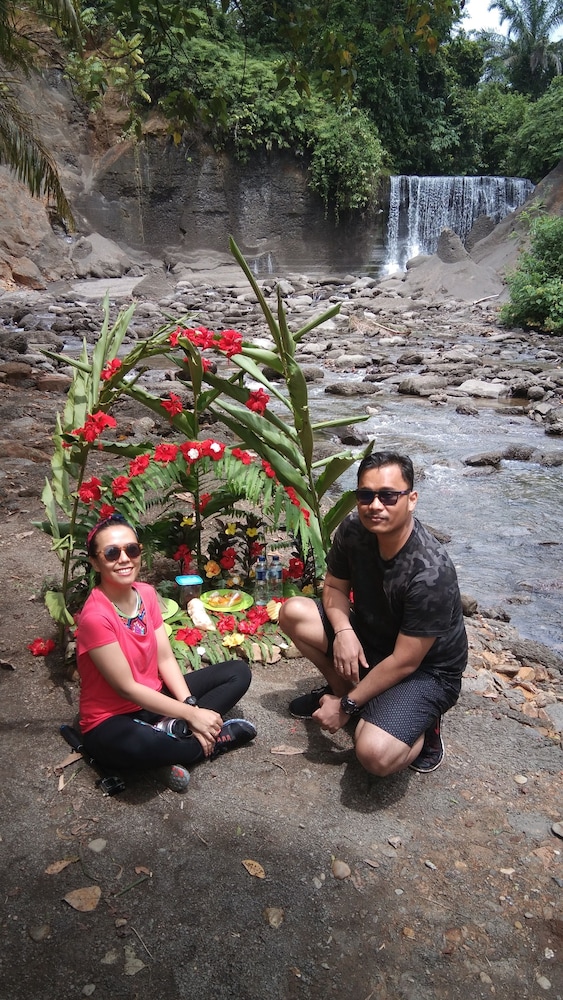 green forest tangkahan