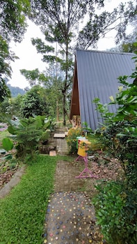 green forest tangkahan