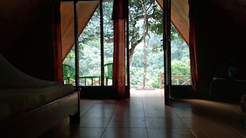 green forest tangkahan