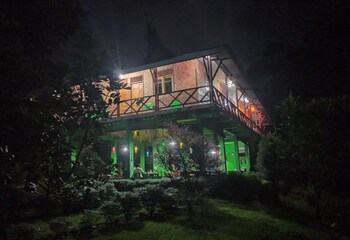 green forest tangkahan