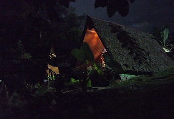 green forest tangkahan