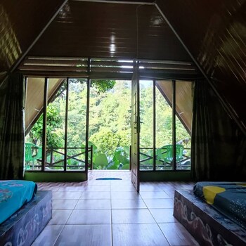 green forest tangkahan