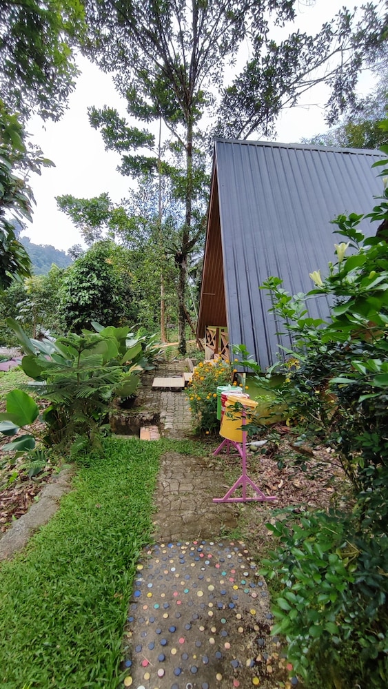 green forest tangkahan