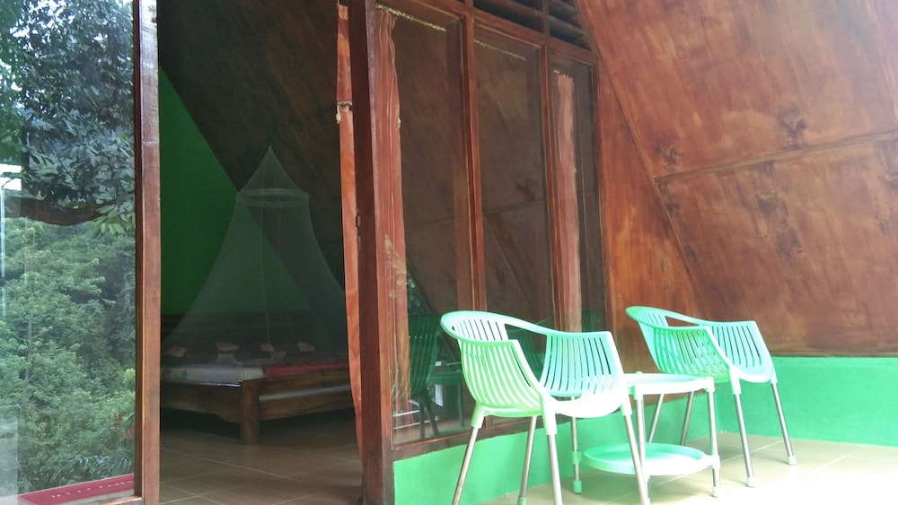 green forest tangkahan