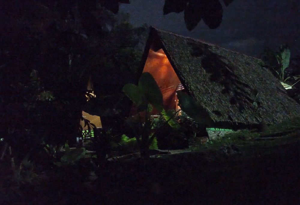 green forest tangkahan