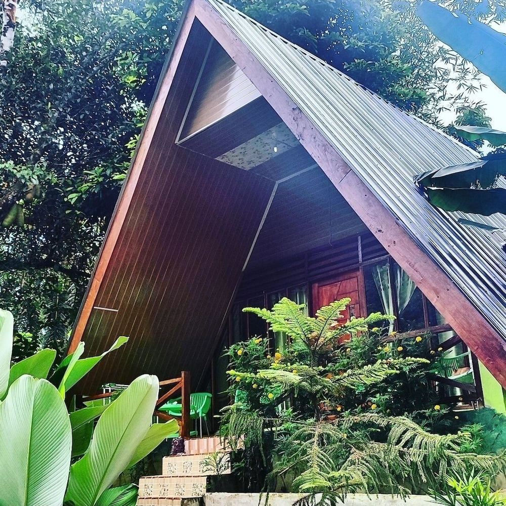 green forest tangkahan