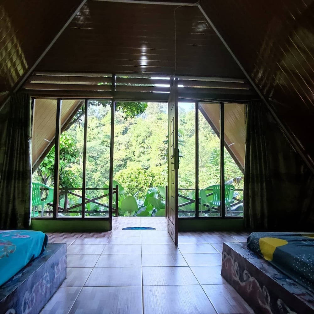 green forest tangkahan