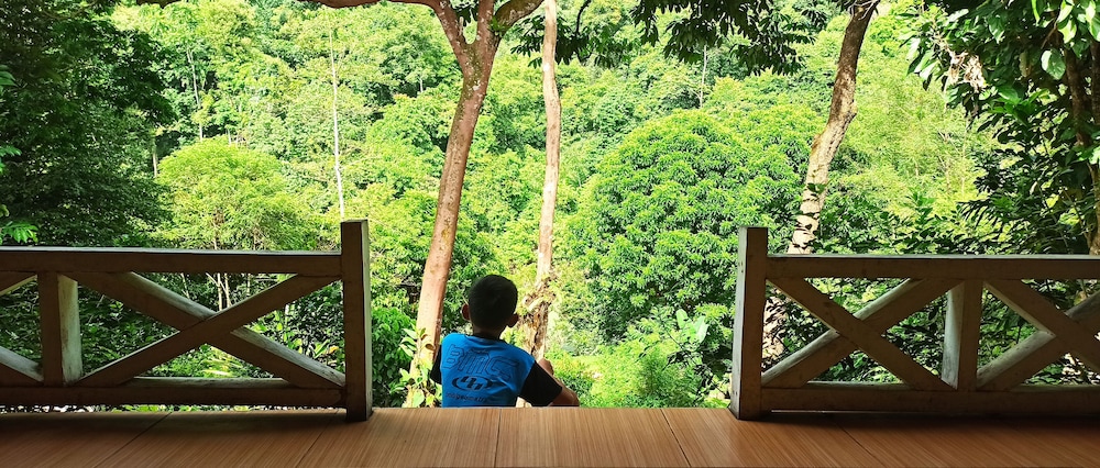 green forest tangkahan