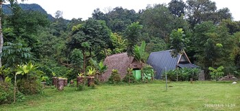 green forest tangkahan