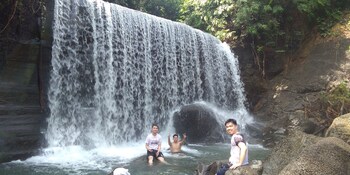 green forest tangkahan