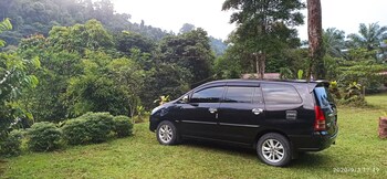 green forest tangkahan