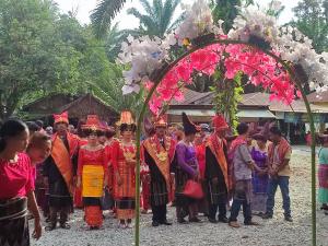 green forest tangkahan