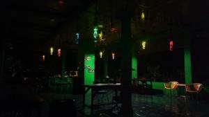 green forest tangkahan