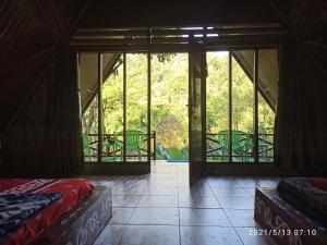 green forest tangkahan