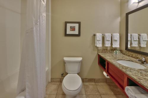 holiday inn roswell by ihg