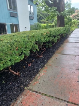 hotel vervana trademark collection by wyndham