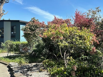 hotel vervana trademark collection by wyndham