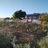 quinta sofia valle de guadalupe adults only
