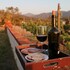 quinta sofia valle de guadalupe adults only