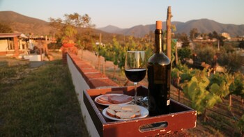 quinta sofia valle de guadalupe adults only