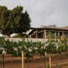 quinta sofia valle de guadalupe adults only