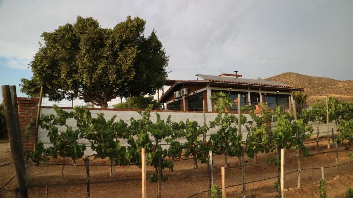 quinta sofia valle de guadalupe adults only
