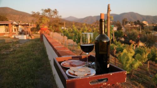 quinta sofia valle de guadalupe adults only
