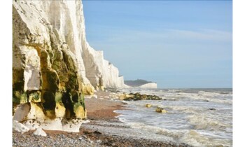 amherst brighton