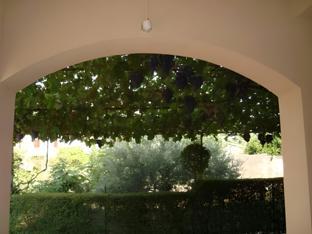 frascineto