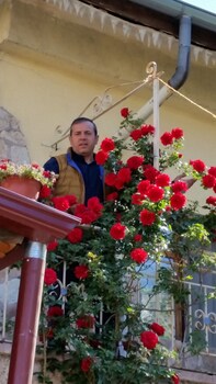 anatolia cave hotel pansion