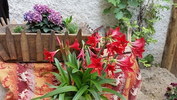 anatolia cave hotel pansion