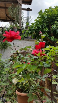 anatolia cave hotel pansion