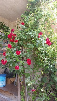 anatolia cave hotel pansion