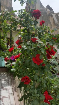 anatolia cave hotel pansion