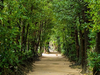okinawa main island