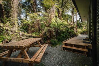 forest view franz josef