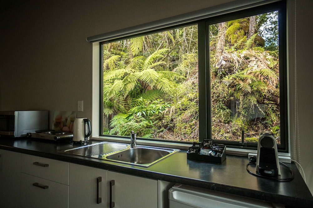 forest view franz josef