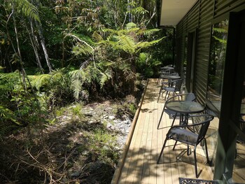 forest view franz josef