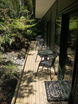 forest view franz josef