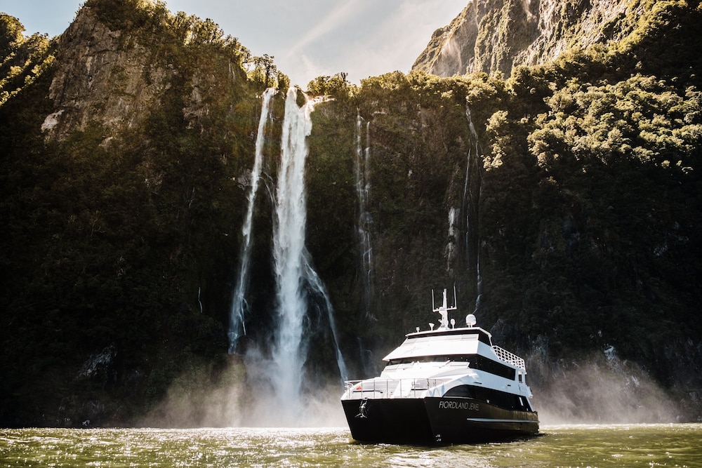 fiordland discovery