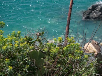 muin a ventu historical tower