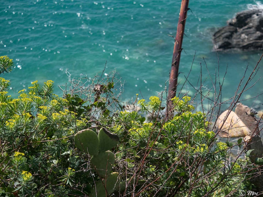 muin a ventu historical tower