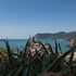 vernazza