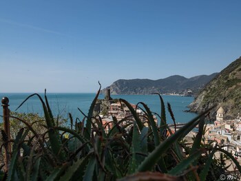 vernazza