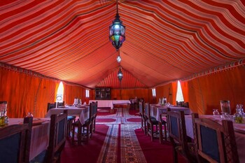 camp under stars adults only