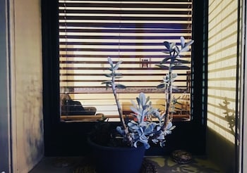 tree house hideouts heygarth house