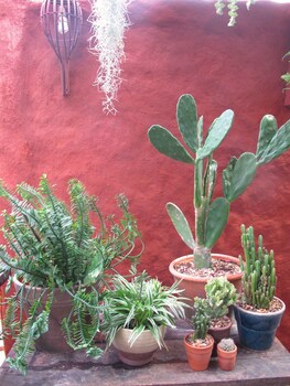 pranberry bed and breakfast