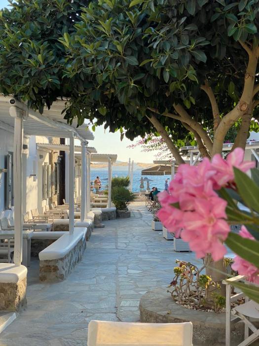 agia anna on the beach