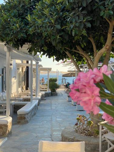 agia anna on the beach